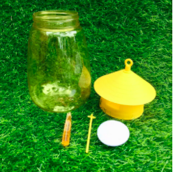 Bộ sản phẩm Bình bẫy ruồi vàng và chất dẫn dụ