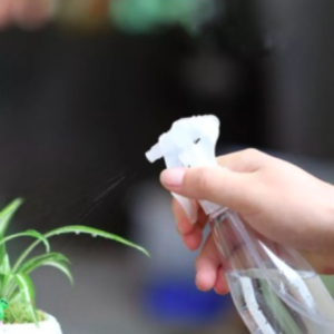 Bình xịt 500ml màu đen - dùng xịt nước tưới cây tiện dụng