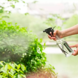 Bình xịt 500ml màu đen - dùng xịt nước tưới cây tiện dụng