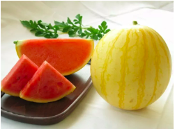 Gói 1g hạt giống dưa hấu vỏ vàng F1 SV No 1 - Watermelon Golden F1 SV No 1