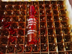 Ống 1ml Vitamin B12 Dùng Giải Độc Cho Cây Trồng