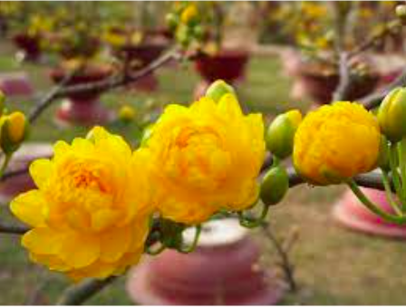 screen-shot-2022-07-24-at-8-12-28-pm-1