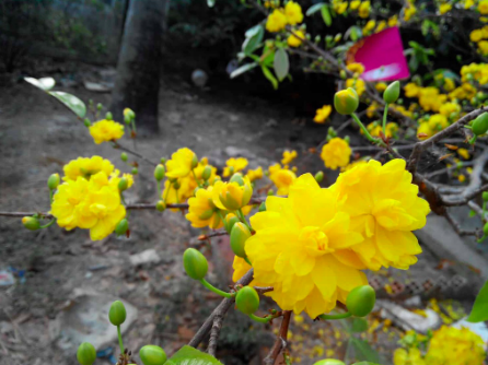 screen-shot-2022-07-24-at-8-12-52-pm-1