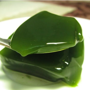 Chậu dây leo Sương Sâm Lông - Tiliacora triandra - Cây giống