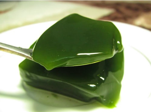 Chậu dây leo Sương Sâm Lông - Tiliacora triandra - Cây trưởng thành