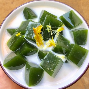 Chậu dây leo Sương Sâm Lông - Tiliacora triandra - Cây trưởng thành