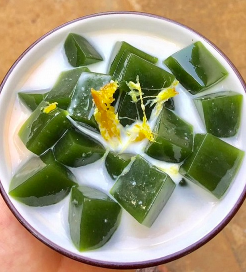 Chậu dây leo Sương Sâm Lông - Tiliacora triandra - Cây trưởng thành