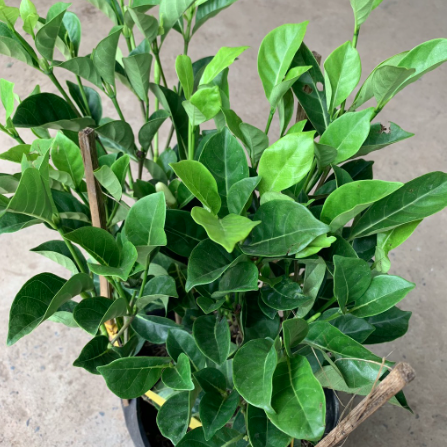 screen-shot-2022-08-07-at-9-07-44-pm-1