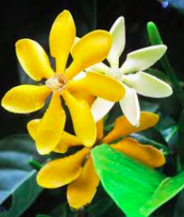 screen-shot-2022-08-07-at-9-07-51-pm-1