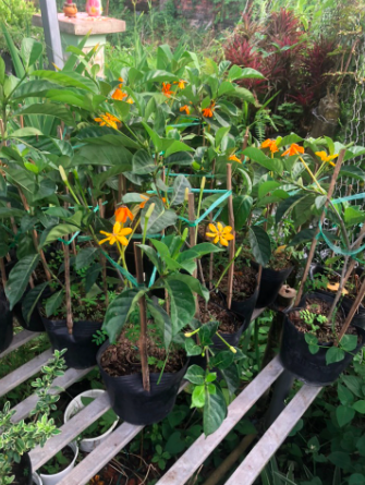 screen-shot-2022-08-07-at-9-07-56-pm-1