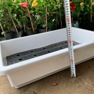Khay chữ nhật trồng rau màu trắng size 60*40*20