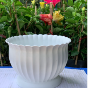 Chậu khía bầu nhựa PP màu trắng - 180