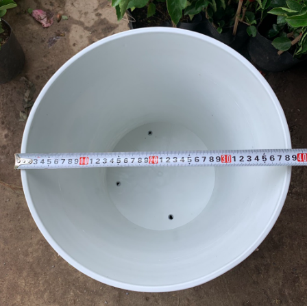 Chậu trồng cây nhựa PP vân hoa mai màu trắng bền đẹp - Số 1