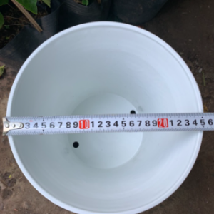 Chậu trồng cây nhựa PP vân hoa mai màu trắng bền đẹp - Số 3