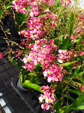 screen-shot-2022-08-16-at-8-43-46-pm-2