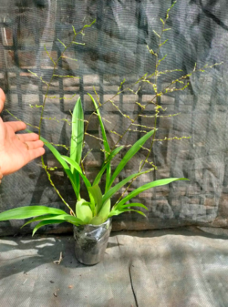 screen-shot-2022-08-16-at-8-43-52-pm-1