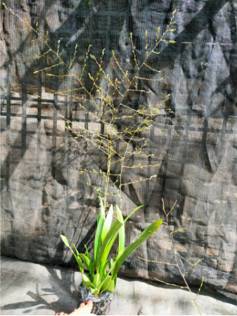 screen-shot-2022-08-16-at-8-44-16-pm-1