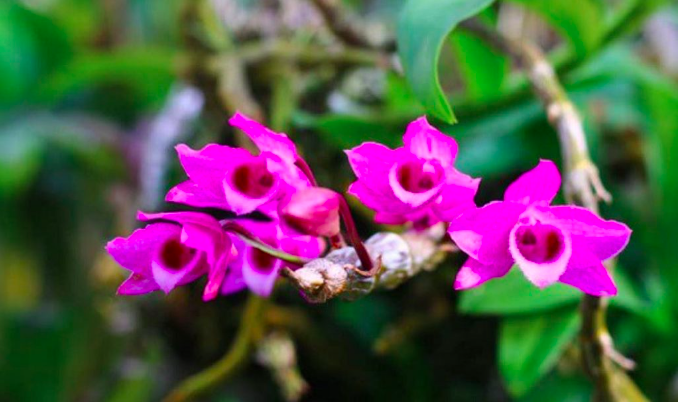 screen-shot-2022-08-16-at-8-52-15-pm-1