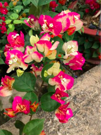 screen-shot-2022-08-17-at-8-41-39-pm-2