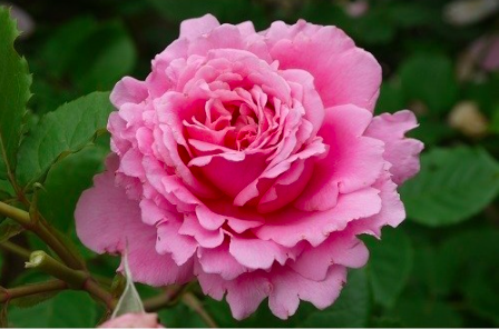 screen-shot-2022-08-17-at-9-29-01-pm-1