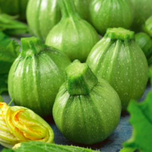 Gói 4 hạt giống bí ngòi banh xanh sáng F1