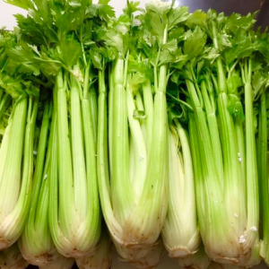 Gói 0.5gr hạt giống Cần Tây Mỹ Utah cho cây ngọt, cao 75cm