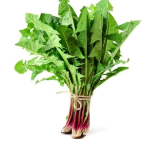 Gói 300 hạt giống cải bó xôi bồ công anh đỏ cọng