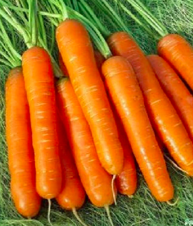 screen-shot-2022-08-25-at-10-40-28-am-1