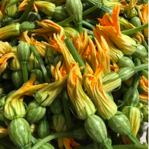 Gói 3gr hạt giống bí thu bông đực