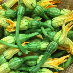 Gói 3gr hạt giống bí thu bông đực