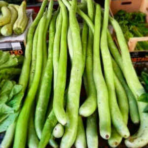 Gói 5 hạt giống bầu rắn