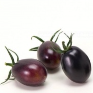 Gói 5 hạt giống cà chua nho đen TG208