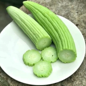 Gói 10 hạt giống dưa chuột rắn Mỹ