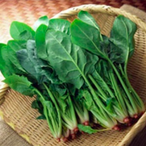 Gói 3gr hạt giống cải bó xôi chịu nhiệt siêu ngon lâu năm