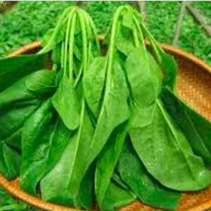 Gói 3gr hạt giống cải bó xôi chịu nhiệt siêu ngon lâu năm