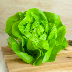 Gói 800 hạt giống xà lách búp chịu nhiệt rất chắc TG215