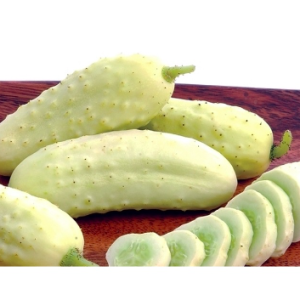 Gói 30 hạt giống dưa chuột trắng bự giòn rụm