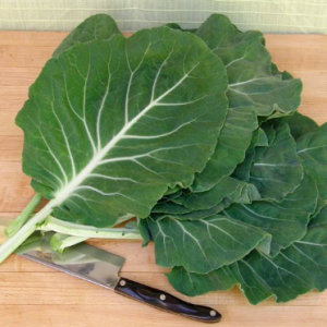 Gói 100 hạt giống cải xoăn kale Bồ Đào Nha