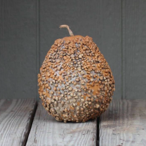 Gói 5 hạt giống bầu quả mít Pháp