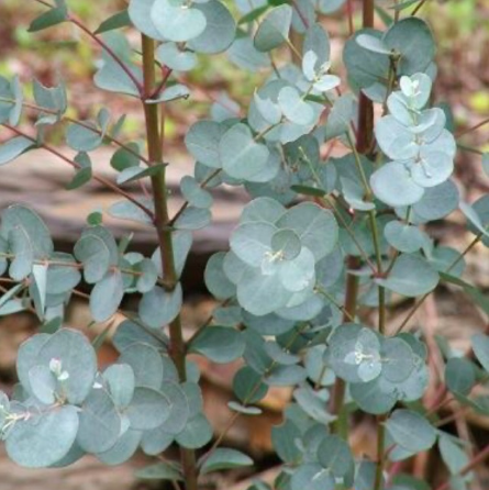 screen-shot-2022-08-25-at-3-08-44-pm-1