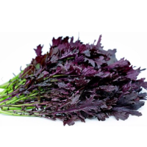 Gói 200 hạt giống cải ngọt Nhật Mizuna đỏ - Red (Brassica juncea)