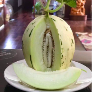 Gói 5 hạt giống dưa lê đốm Hàn Quốc