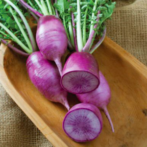 Gói 20 hạt giống củ cải vua F1 cho trái 1kg