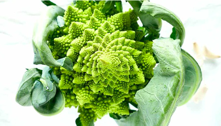 Gói 0.2gr hạt giống súp lơ san hô