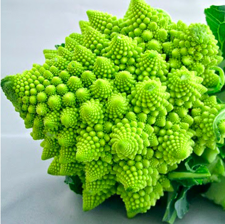 screen-shot-2022-08-26-at-11-28-06-pm-1