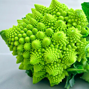 Gói 0.2gr hạt giống súp lơ san hô