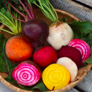 Gói 50 hạt giống củ dền đỏ mix cầu vồng