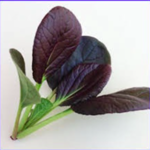 Gói 0.3gr hạt giống cải ngọt nhật đỏ