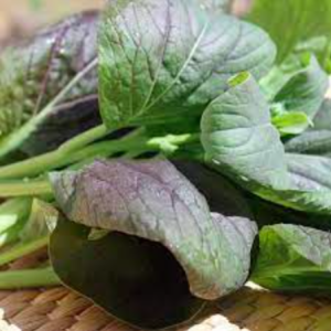 Gói 0.3gr hạt giống cải ngọt nhật đỏ