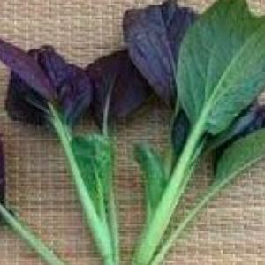 Gói 0.3gr hạt giống cải ngọt nhật đỏ